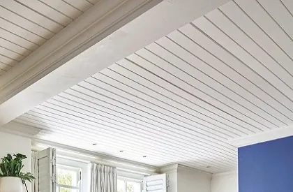 Ceiling Boards